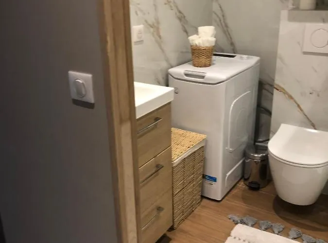 Boulevard De La Croisette Palais Miramar Cannes