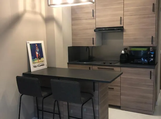 Boulevard De La Croisette Palais Miramar Lejlighed Cannes